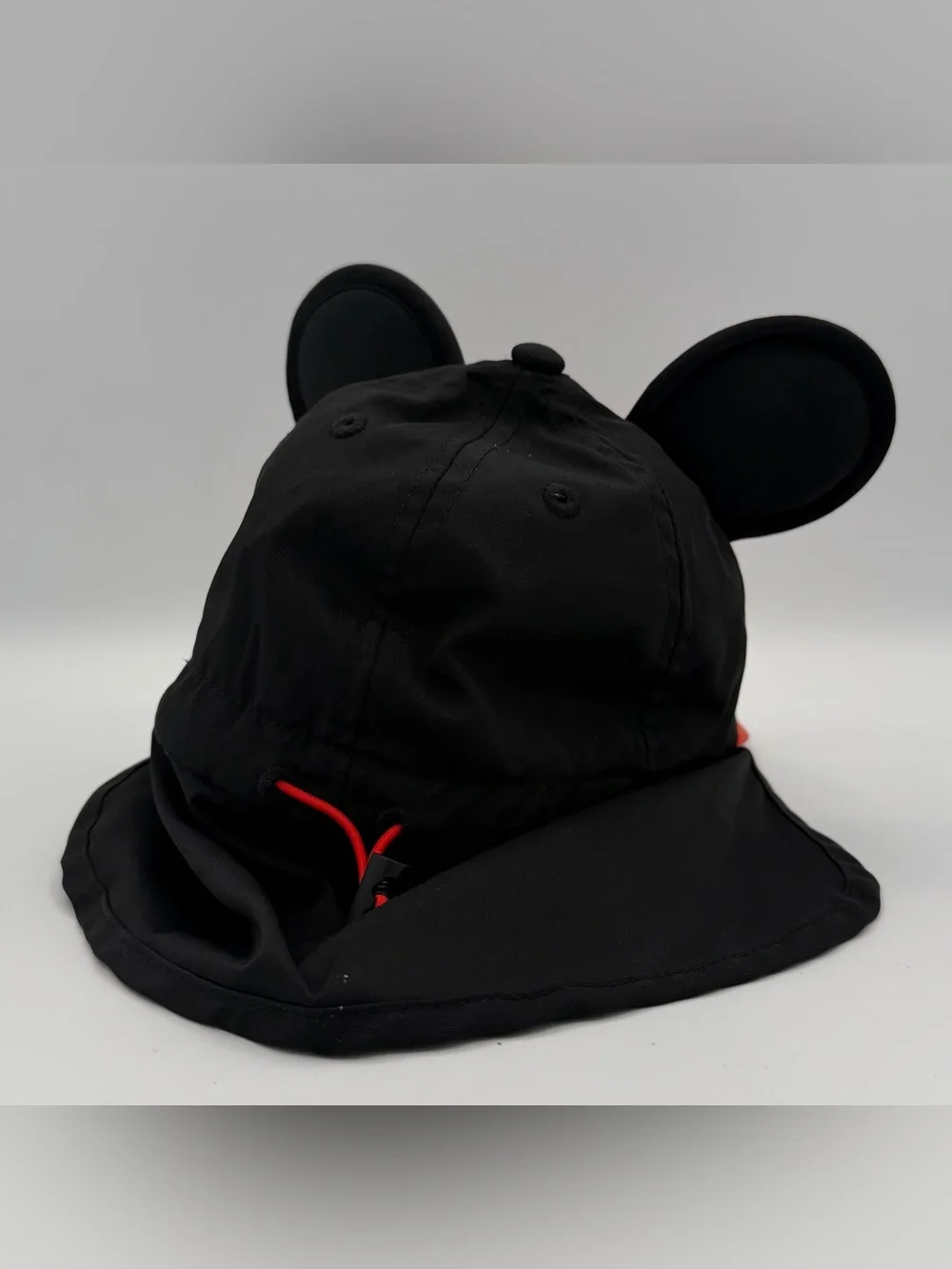 Disney playful mickey